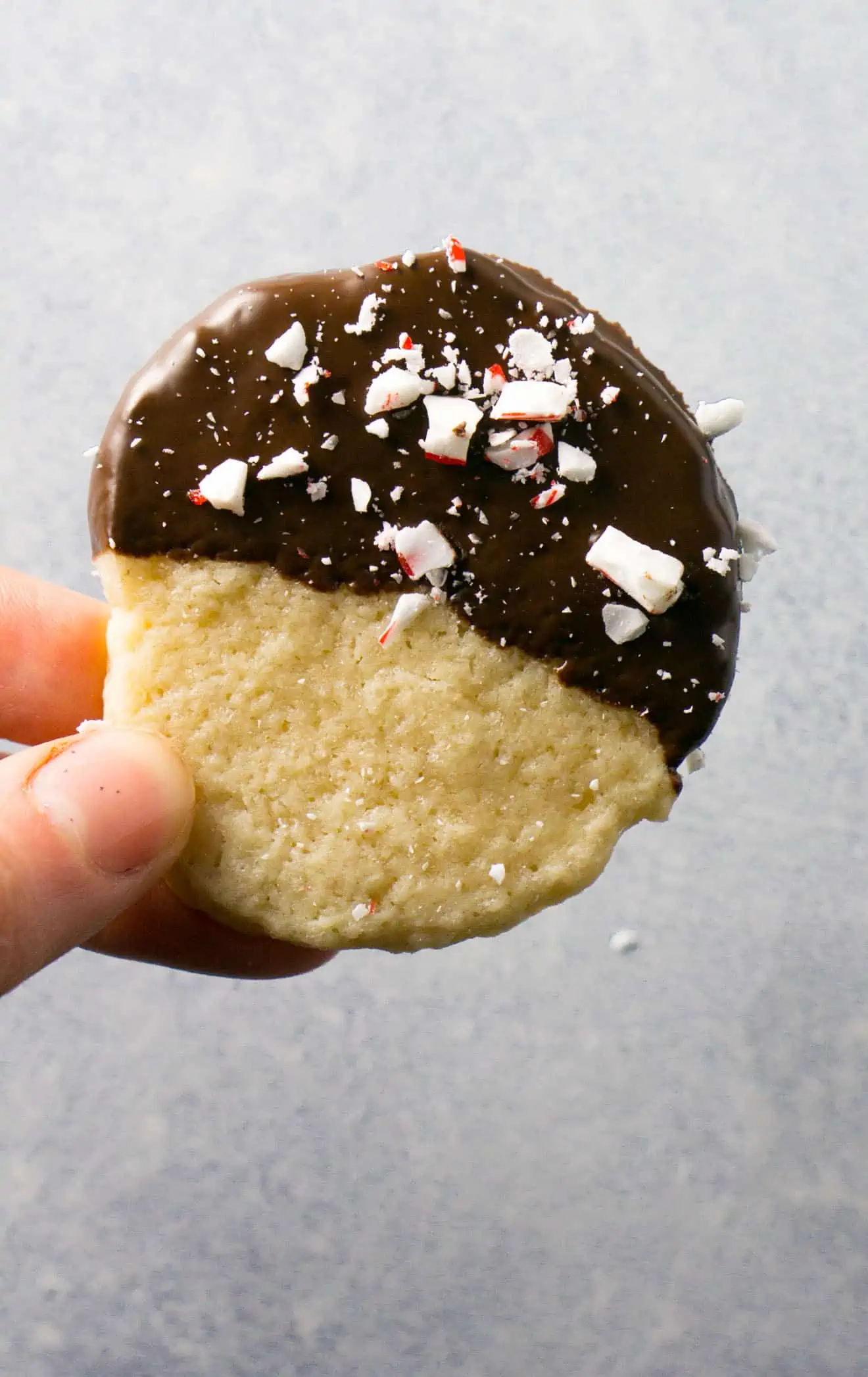 Holding a peppermint flavored shortbread cookie dipped in melted chocolate. 