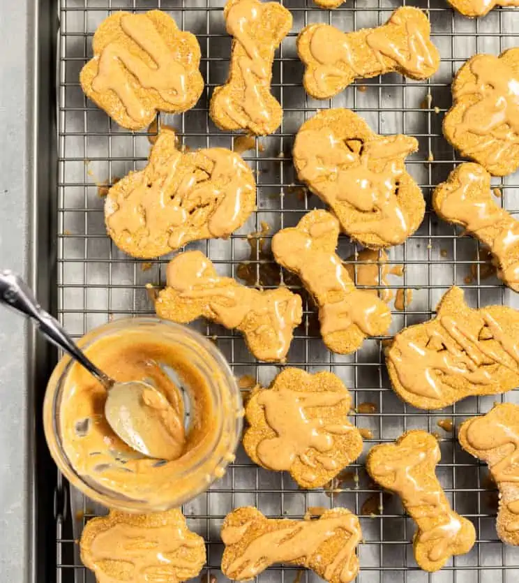 Pumpkin-Dog-Biscuits by @eatlovenamaste